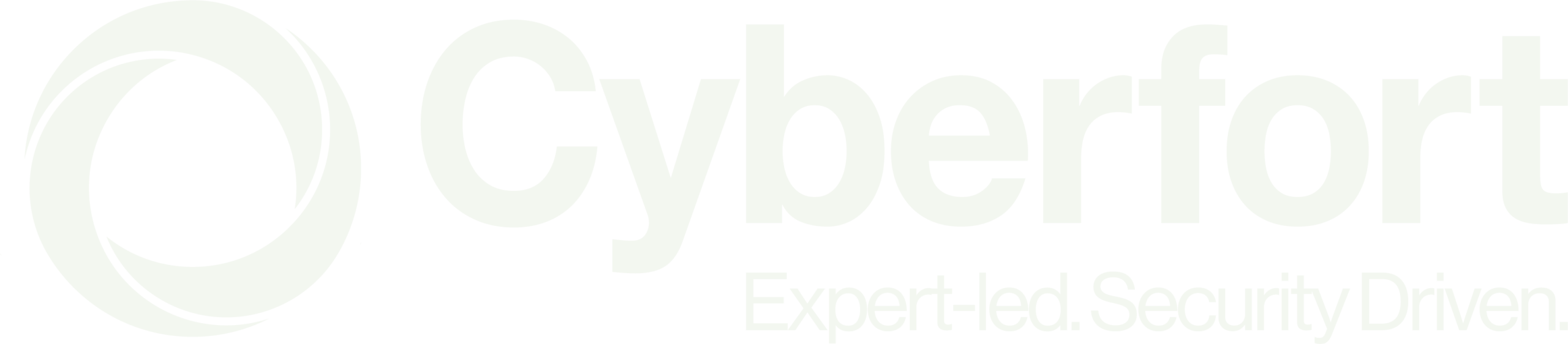 Cyberfort